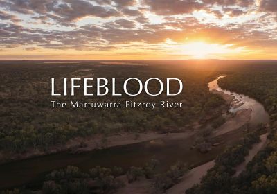 Promotion banner for documenatry film LIFEBLOOD