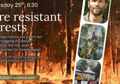 Artwork and image for event "Fire Resistant Forests" 6:30pm-8pm 25/06/2026 online with Zoom, and also at Bellingen Uniting Church Hall, Hyde St, Bellingen NSW 2454