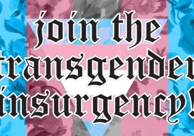 Artwork and image for event "Join the transgender insurgency!" 11:30am 04/07/2026 Parliament of Victoria, Spring Street, East Melbourne VIC 3002