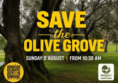 Artwork and image for event "Hands Around the Olive Grove" 02/08/2026 10:30am-3pm Pakapakanthi / Victoria Park (Park 16), Wakefield Rd, Tarntanya SA 5000