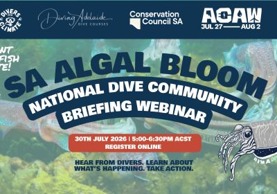 Artwork and image for event "National Dive Briefing: SA Algal Bloom and Giant Cuttlefish Update" 5pm-6:30pm 30/07/2026 online. RSVP for this event on the Adelaide Climate Action Week website my.acaw.org.au/event/acaw-national-dive-briefing-algal-bloom-community-forum