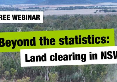 Artwork and image for event "Webinar: Beyond the statistics – Land clearing in NSW" 1pm-2pm AEST online, register with Zoom us02web.zoom.us/webinar/register/WN_9EwUAfCIQ_uLuMDCxcKYBA#/registration