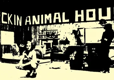 ANIMAL HOUSE