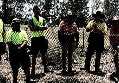 work for the dole