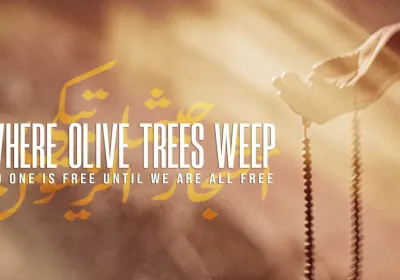 Artwork and promotional image for film Where Olive Trees Weep