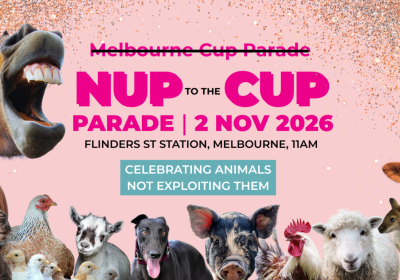 Artwork and image for event "NUP to the Cup PARADE 2026" 11am Flinders Street Station, Flinders St, Naarm VIC 3000