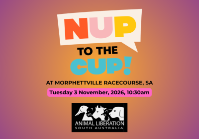 Artwork and image for event "Nup To The Cup: Adelaide Protest 2026" 10:30am 03/11/2026 Morphettville Racecourse, Morphett Rd, Morphettville SA 5043