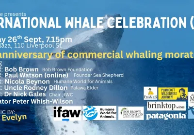 Artwork and image for event "International Whale Celebration" 7:15pm 26/09/2026 Crowne Plaza Hobart, 110 Liverpool St, Nipaluna TAS 7000