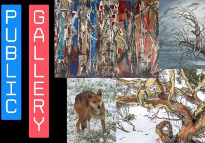 Artwork and image for event "Snow Gum Art Show" 3pm-5pm 13/09/2026 Fitzroy Public Gallery, 125 Smith St, Fitzroy VIC 3065