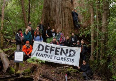 Native forest advocates with banner that says Defend Native Forests