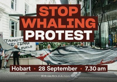 Artwork and image for event "Stop Whaling Protest" 7:30am 28/09/2026 1 Davey St, Nipaluna Lutrutwita 7000