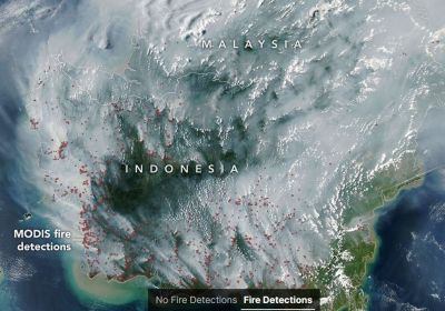satellite image of fires in Indonesia