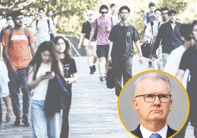 tony burke