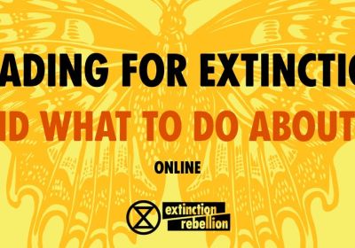 Artwork and image for Extinction Rebellion's info session "Heading for Extinction (and what to do about it)"