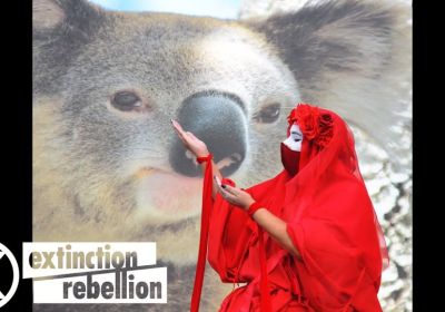 Artwork and image for event "Red Rebel Day of Action: Grieving for Nature Lost"