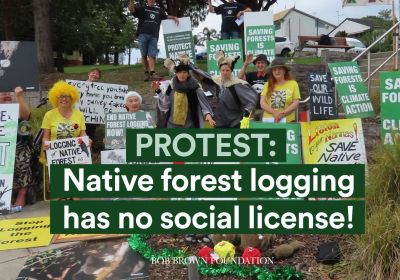 Artwork and image for event "Protest: Logging has no social license! Batemans Bay" 8am 08/10/2026 7 Old Princes Hwy, Batemans Bay NSW 2536