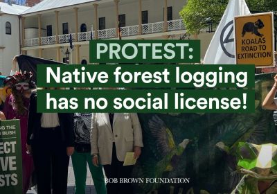 Artwork and image for event "Protest: Native forest logging has no social license!"