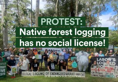 Artwork and image for event "Protest: Native forest logging has no social license!"