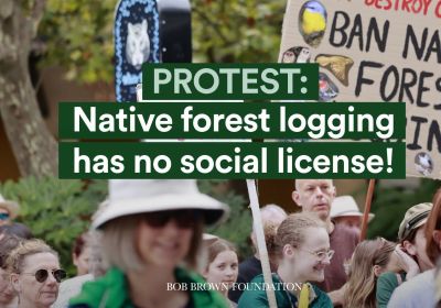 Artwork and image for events "Protest: Logging has no social license!" across Australia