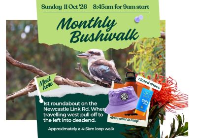 Artwork and image for event "Link Road Forest Monthly Bushwalk" 8:45am 11/10/2026