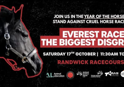 Artwork and image for event "Speak Up for the Horses: Say NO to The Everest" 11:30am-1:30pm, Royal Randwick Racecourse, Alison Rd, Randwick NSW 2031