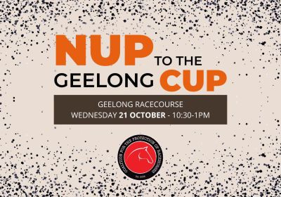 Artwork and image for event "Nup to the Geelong Cup 2026!" 10:30am-1pm 21/10/2026 Geelong Racecourse, 99 Breakwater Rd, Breakwater VIC 3219
