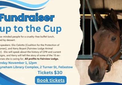 Artwork and image for event "SAFA Nup to the Cup Lunch" 12pm-3pm 01/11/2026 Payneham Library Complex, 2 Turner St, Felixstow, 5070