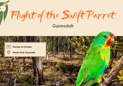Artwork and image for event "Flight of the Swift Parrot"