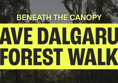 Artwork and image for event "Beneath the Canopy – Save Dalgarup Forest Walk" 9:15am 11/10/2026 Karri Gully Picnic area, Nannup WA 6275