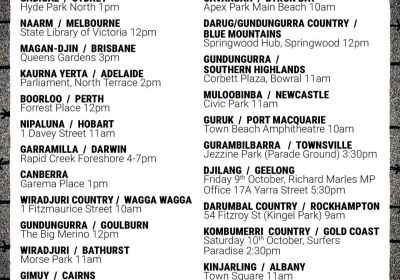 october 11 palestine rallies