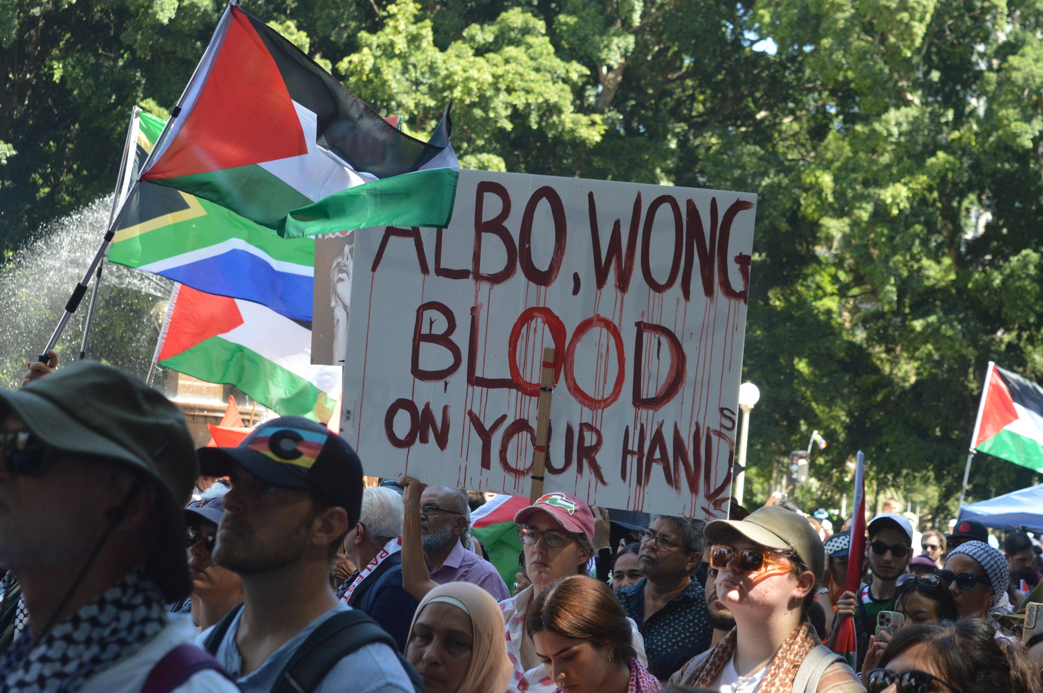 Anthony Albanese and Penny Wong have "blood on their hands".